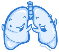Osmosis Lung Sticker