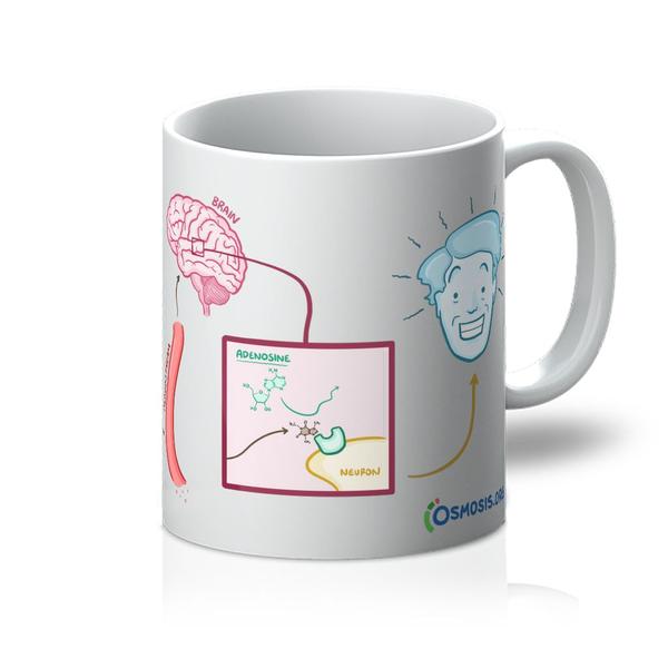 Osmosis Caffeine Mug