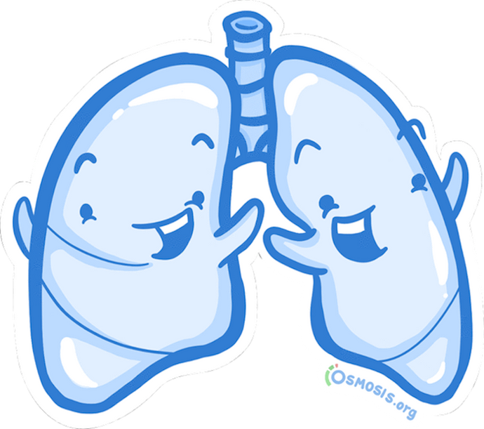 Osmosis Lung Sticker